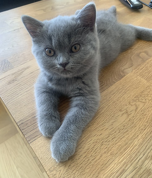 Product image 4 of 10