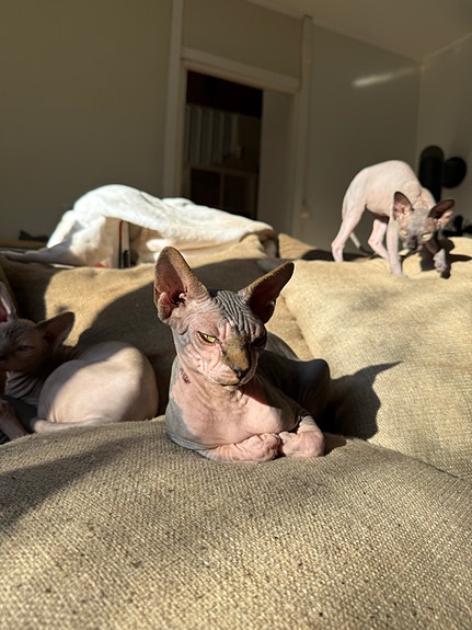 Product image 3 of 9