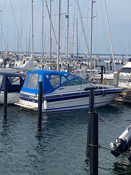 Searay Sundancer 268 2 of 8