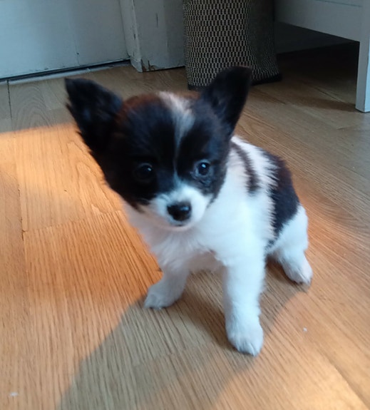 Product image 7 of 7