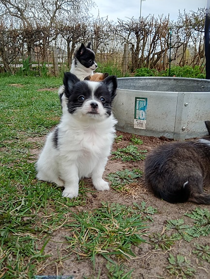 Product image 3 of 7