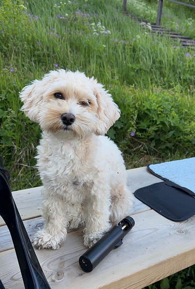 Product image 2 of 8