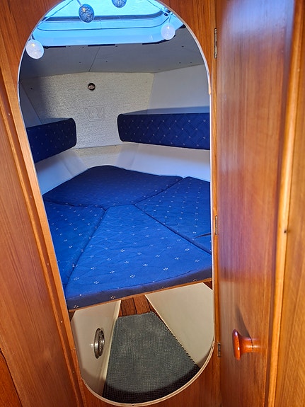 Kings Cruiser 33 6 of 13