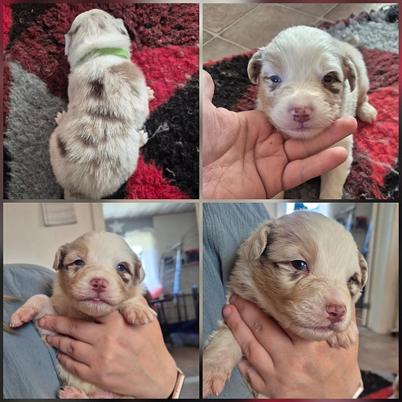 Product image 6 of 9