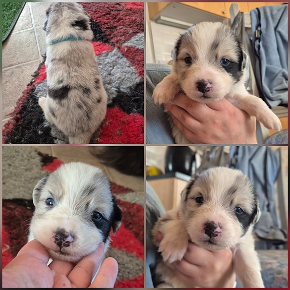 Product image 2 of 9