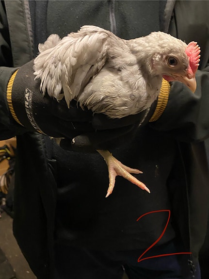 Product image 3 of 7