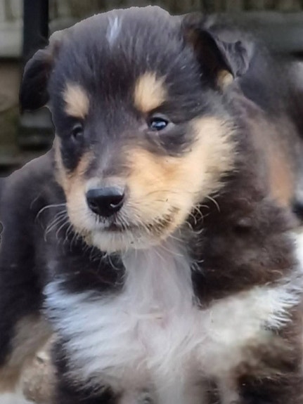 Product image 2 of 7