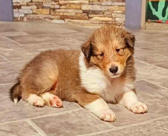 Product image 7 of 10