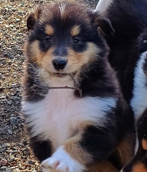 Product image 8 of 10