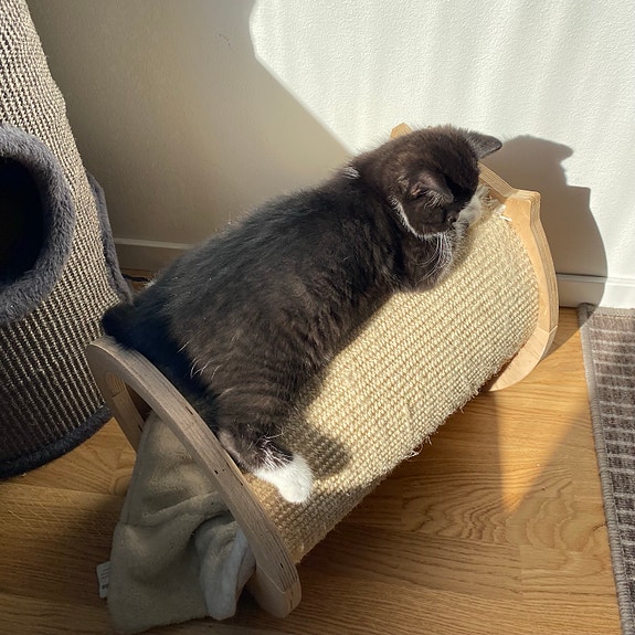 Product image 5 of 9