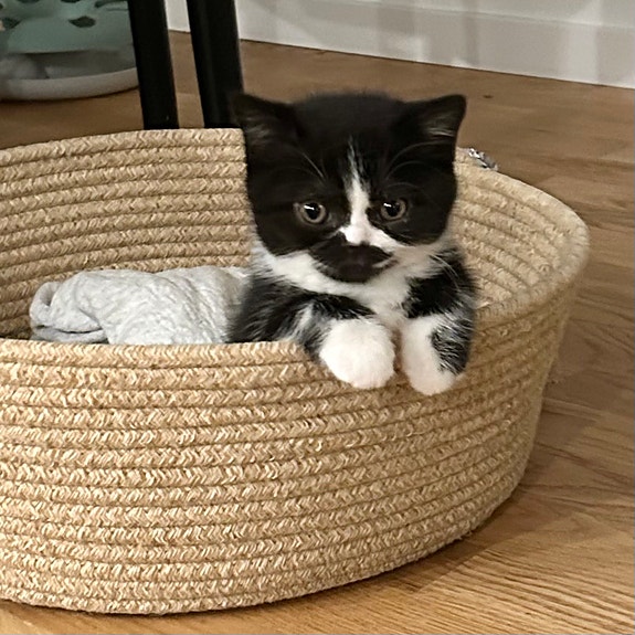 Product image 9 of 9