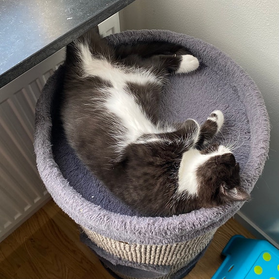 Product image 8 of 9