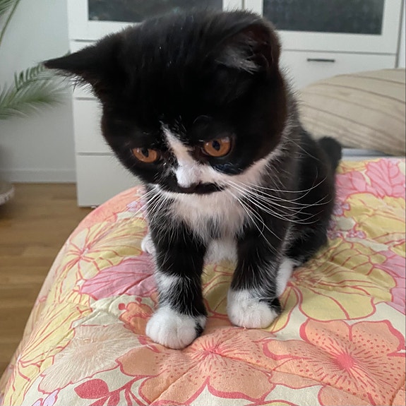 Product image 3 of 9