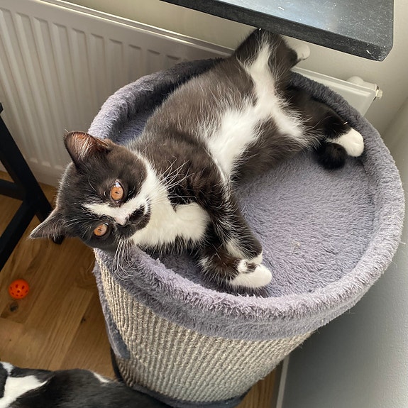 Product image 7 of 9