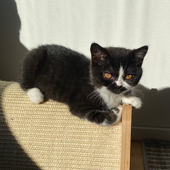 Product image 4 of 9