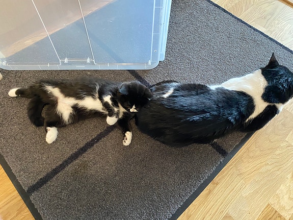 Product image 6 of 9