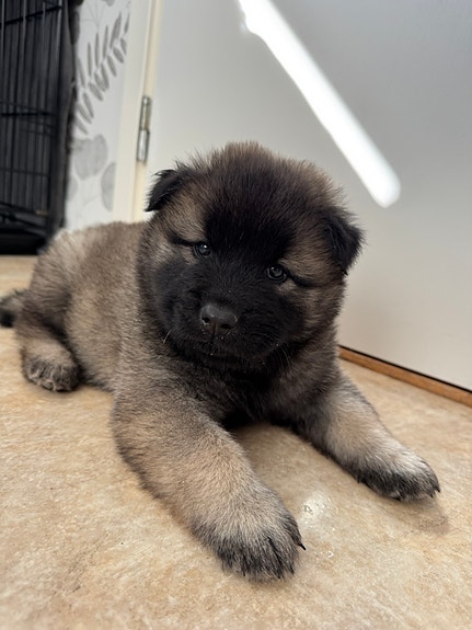 Product image 3 of 8