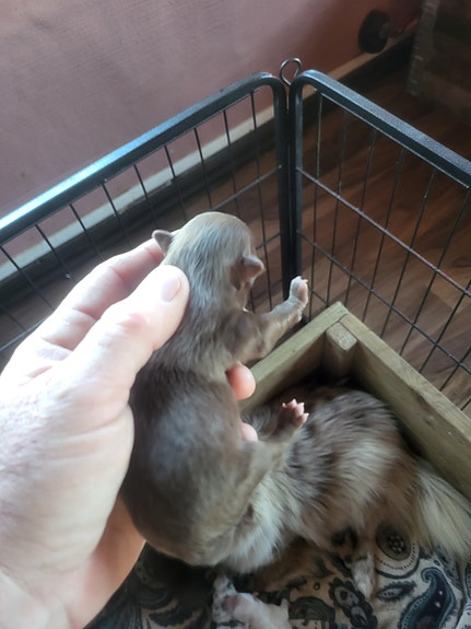 Product image 3 of 10