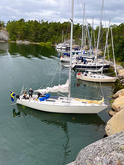 Swede 38 3 of 14