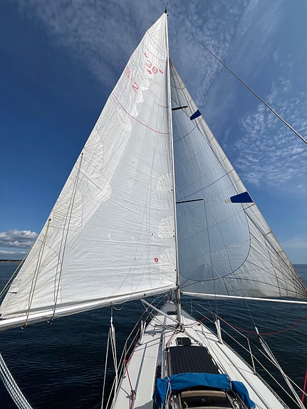 Swede 38 4 of 14