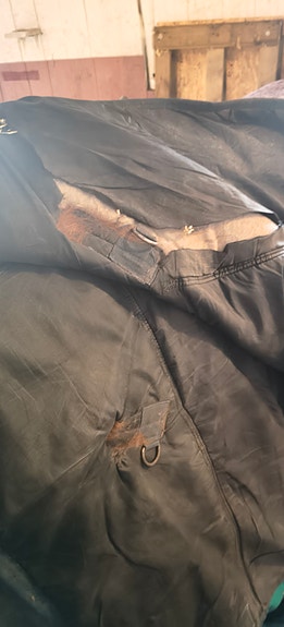 Product image 11 of 11