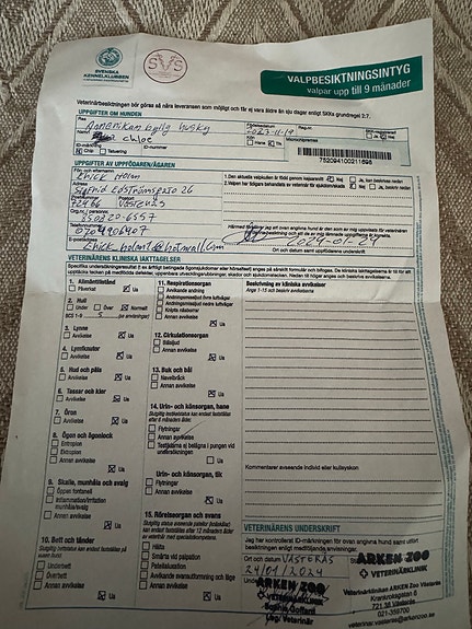 Product image 5 of 6