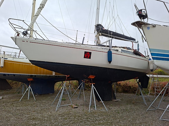 Scampi 8 of 10