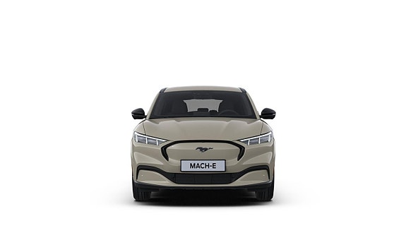 Ford Mustang Mach-E 3 of 9