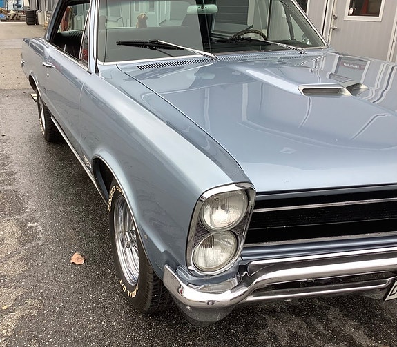 Pontiac GTO 3 of 5