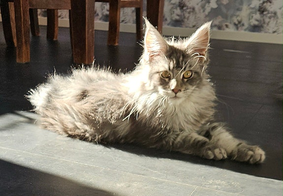 Product image 4 of 7