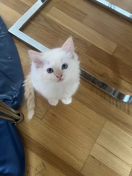 Product image 3 of 8