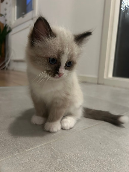 Product image 7 of 9