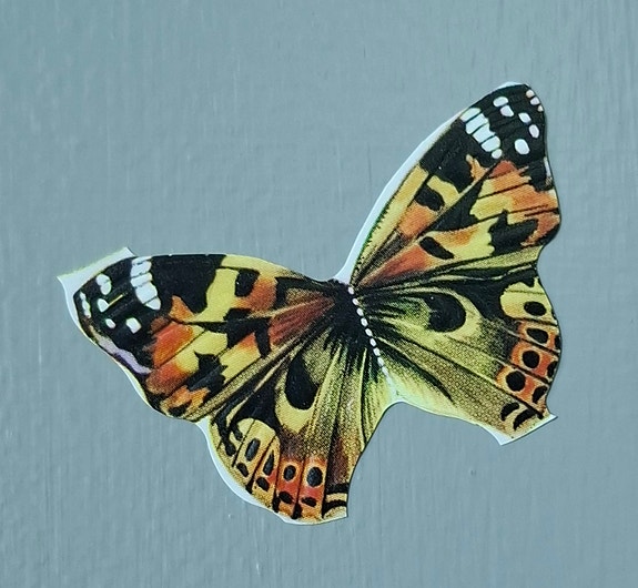 Product image 12 of 15