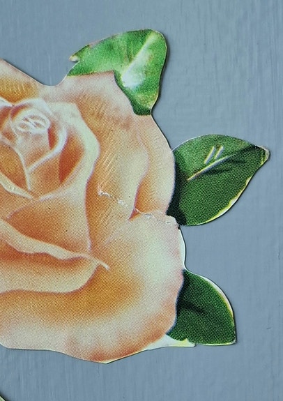 Product image 15 of 15