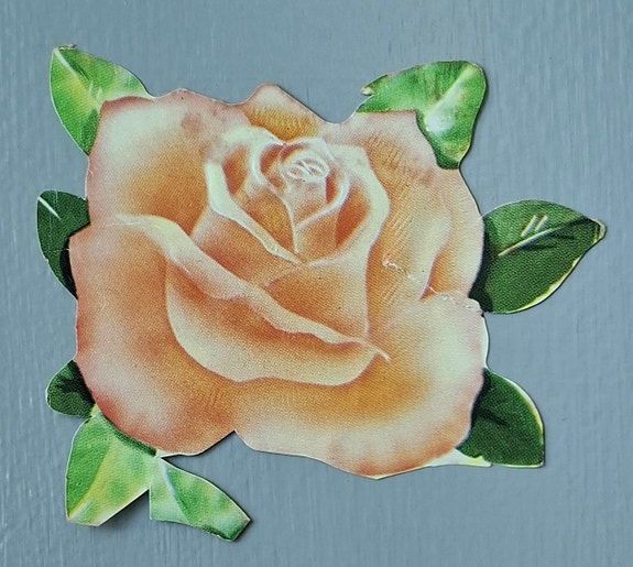 Product image 14 of 15