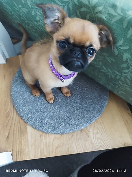 Product image 5 of 10