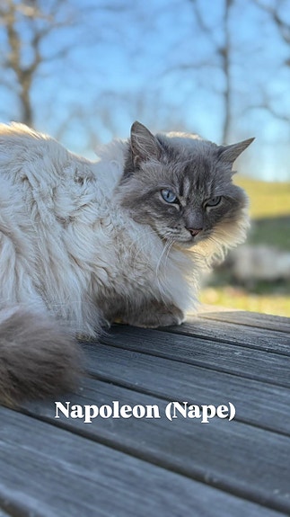 Product image 5 of 7