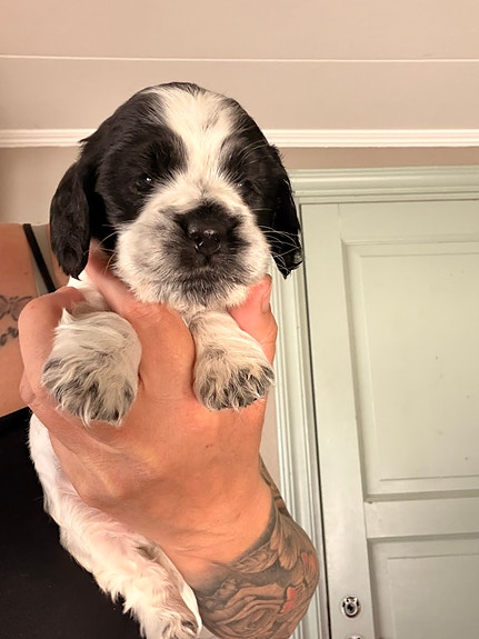 Product image 5 of 10