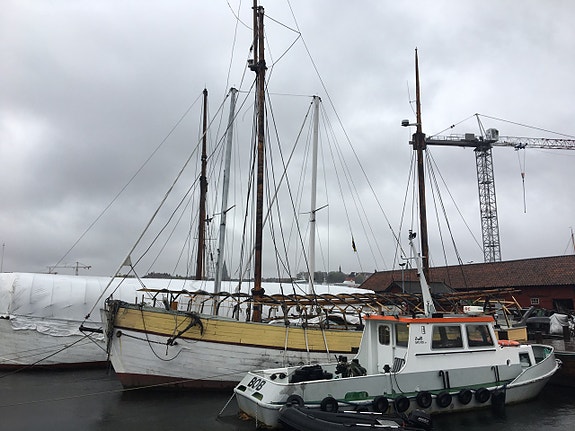 Lilla galeasen "Amber" söker ny ägare 6 of 15