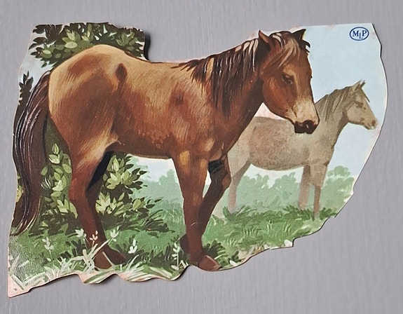 Product image 11 of 13