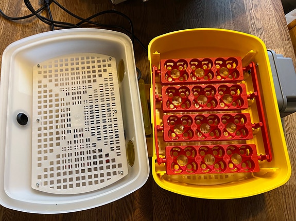 Product image 5 of 8