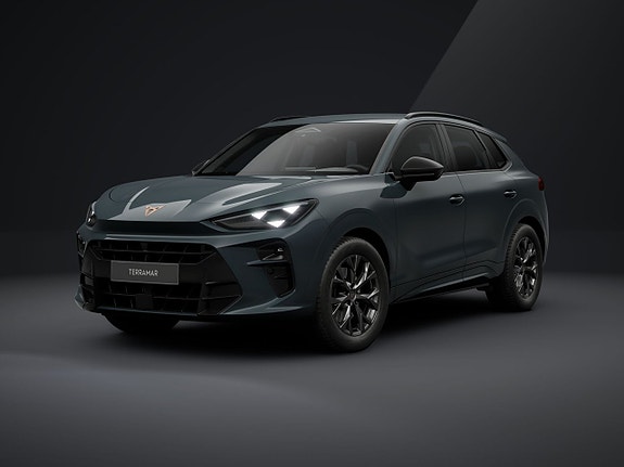 İkinci el  Cupra Terramar 