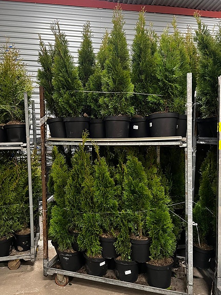 Product image 4 of 9