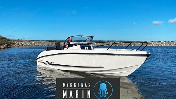 MICORE 58SC R-Design - YAMAHA F100