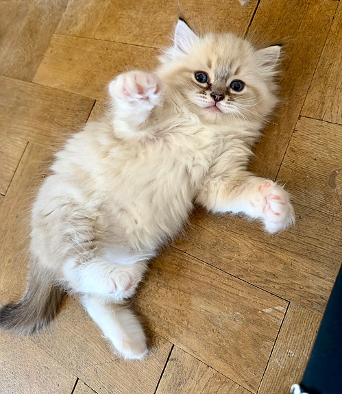 Product image 5 of 5