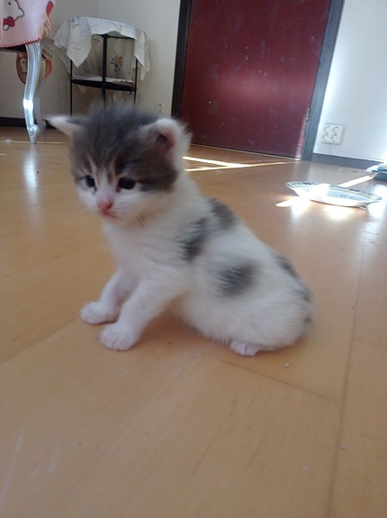 Product image 3 of 7