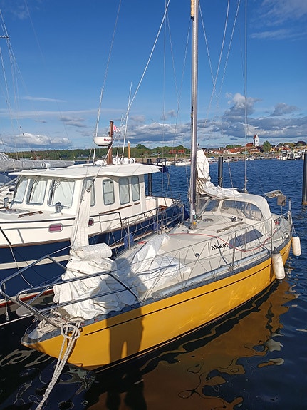 Dixie 27 — View photo 1