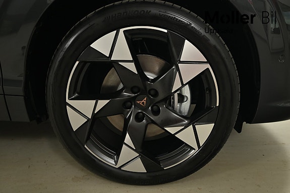 Cupra Terramar 5 of 5