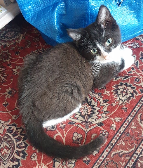 Product image 3 of 5