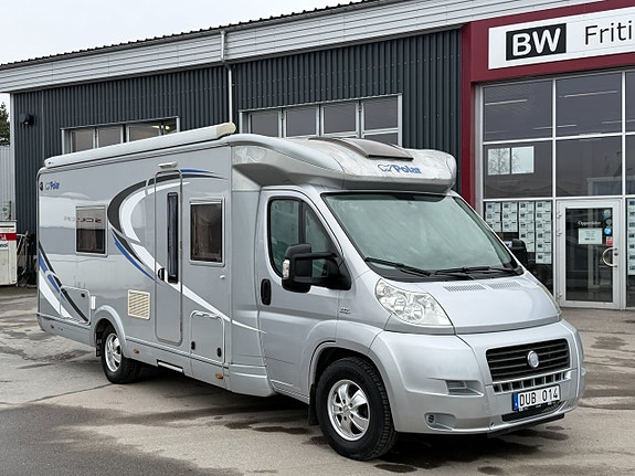 Polar Grizzly - Toa bak - Långbädd - Alde -